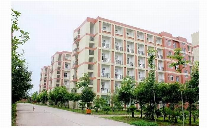 1503133019137761.jpg 3.jpg