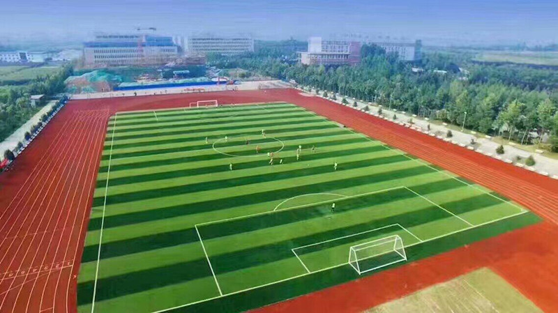 1501235904773711.jpg 运动场_副本.jpg