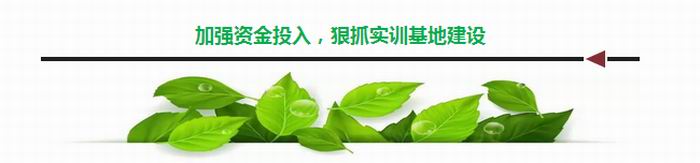 1503131661252424.jpg 2.jpg