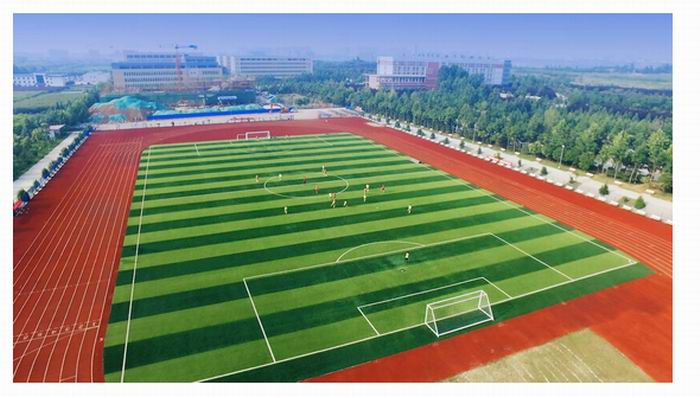 1503133154101073.jpg 5.jpg